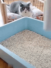 Pala Recogedora de Desechos para Gato 🐾
